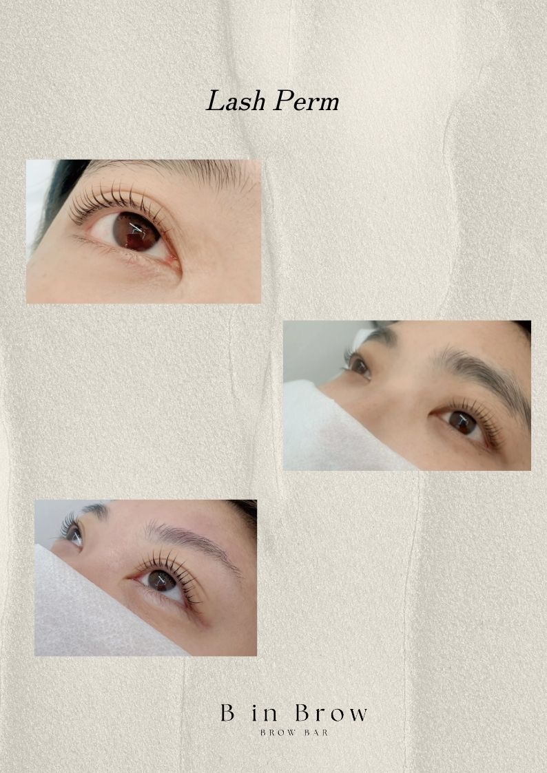 비인브로우 picture 7