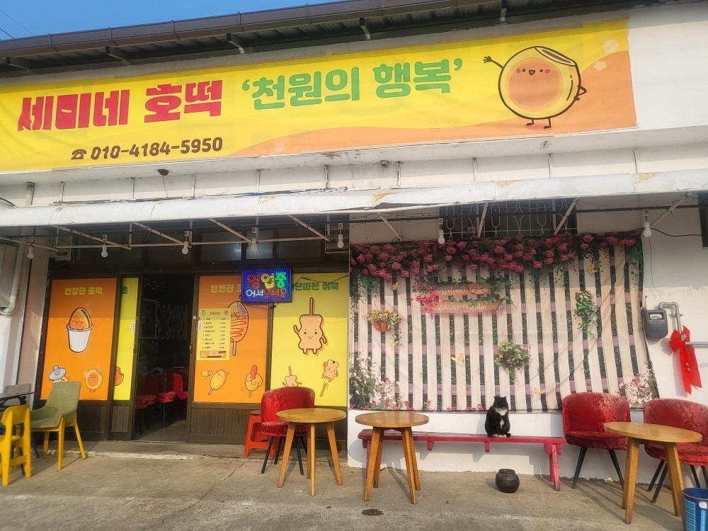 마일찹쌀꽈배기&세미네호떡 picture 0