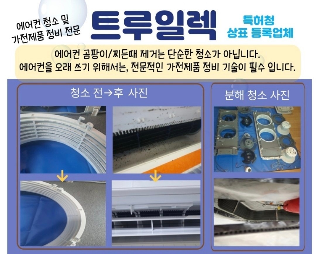 트루일렉 picture 0