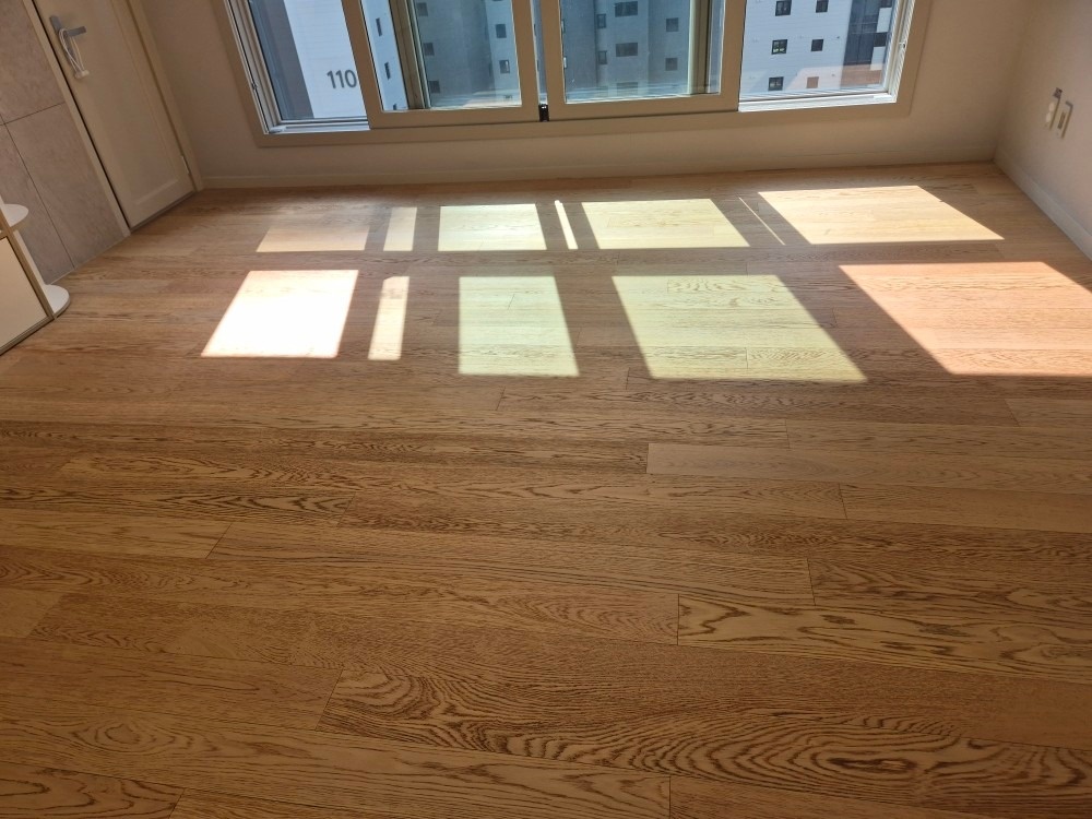 클린스쿨부산 picture 1