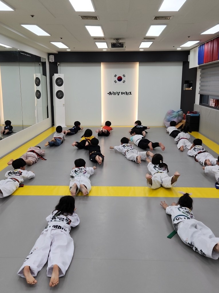 올림픽태권도 picture 1