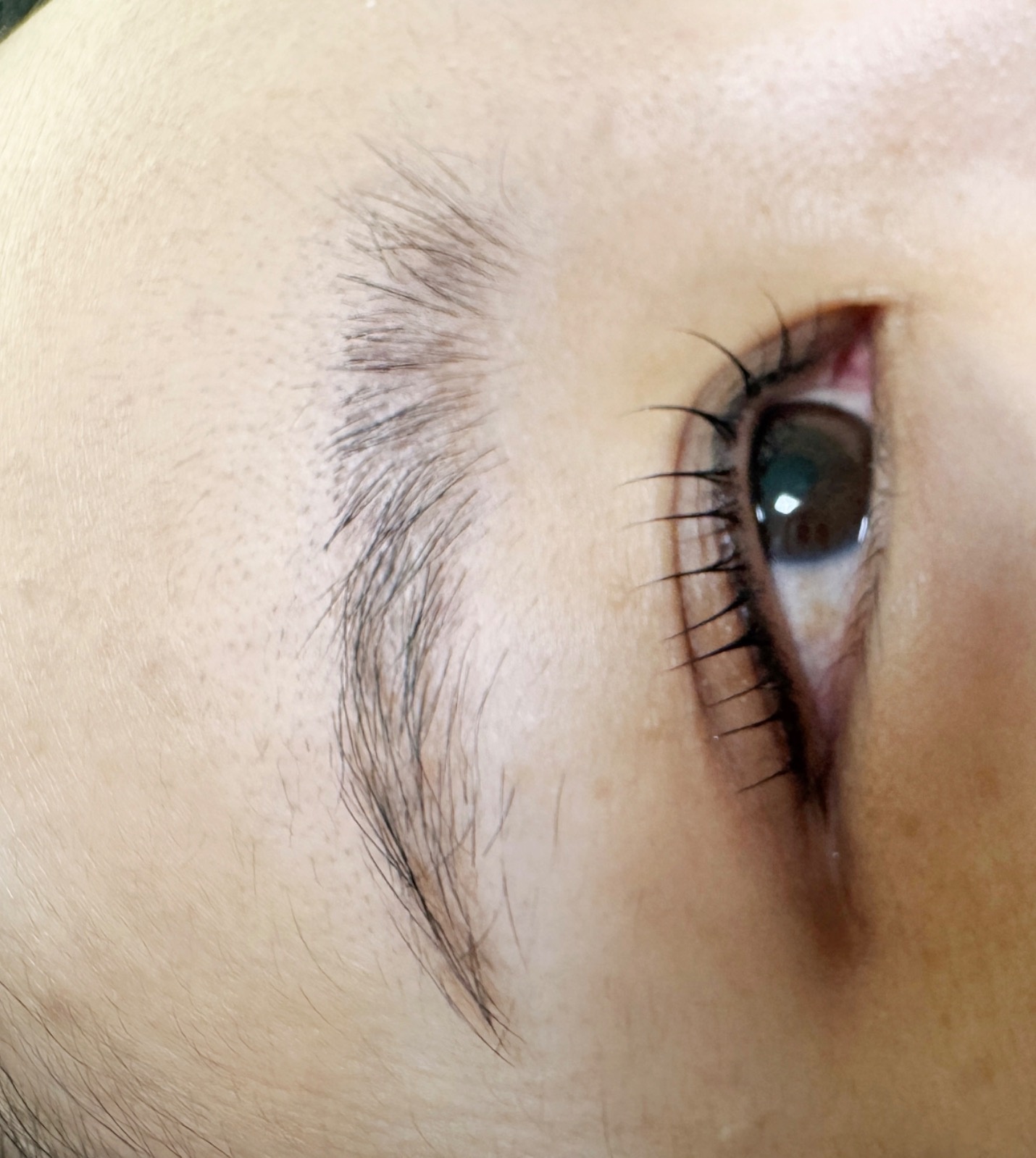 스튜디오하리비 picture 3