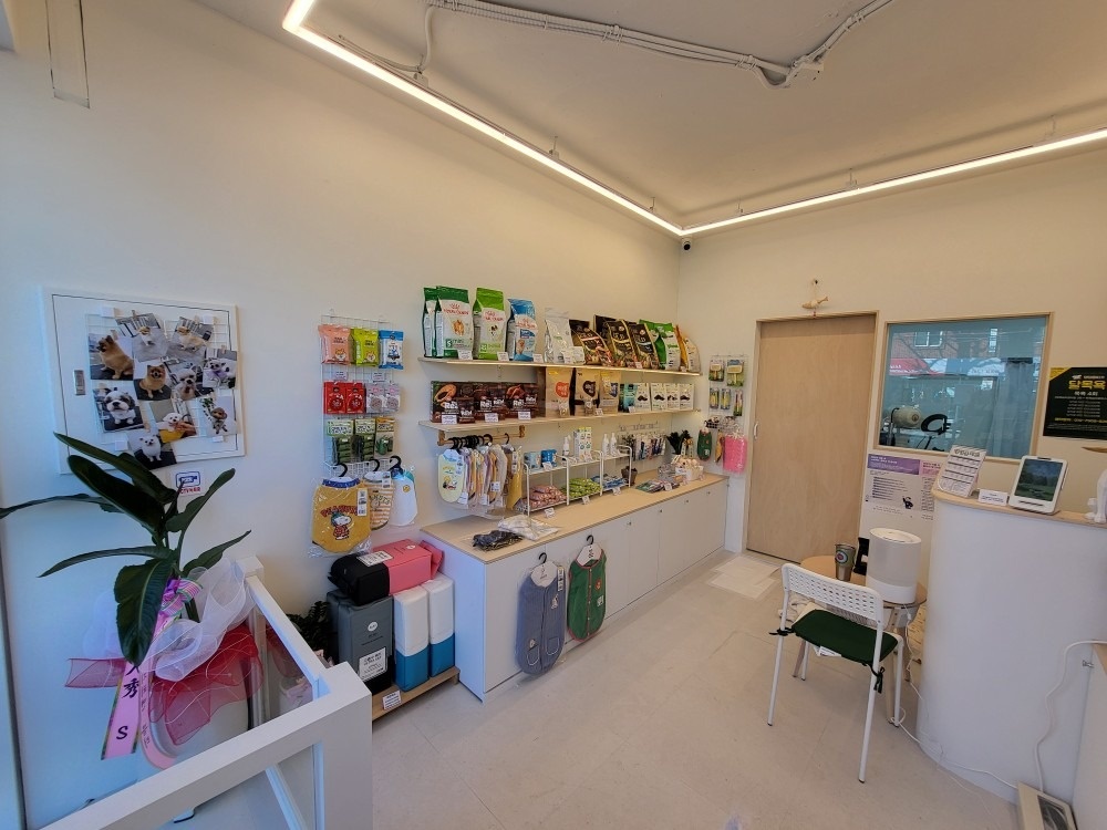 댕댕몽띠끄 picture 5