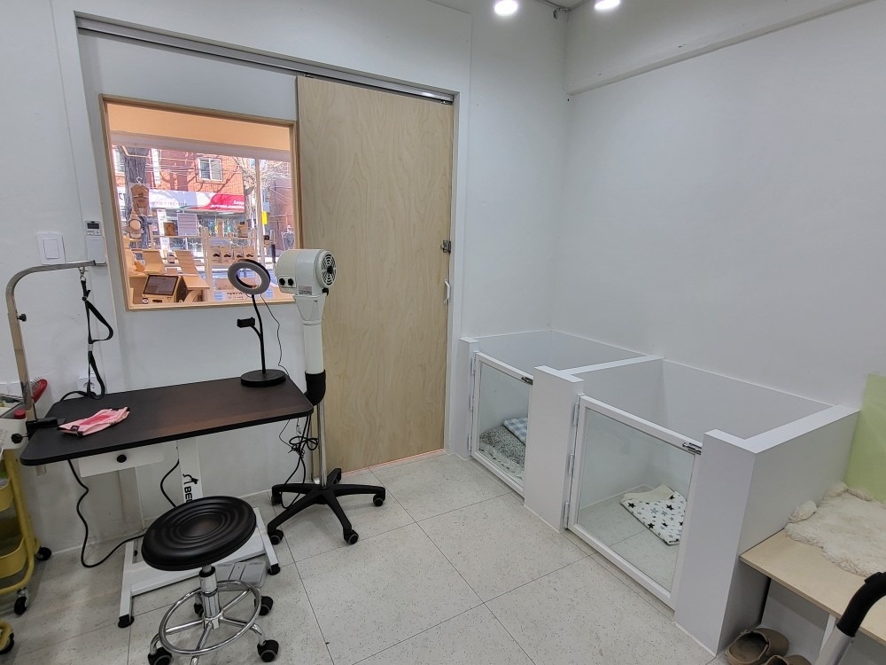 댕댕몽띠끄 picture 7