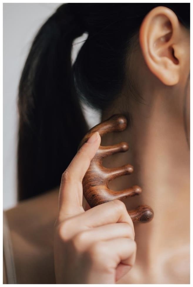 관련 이미지2