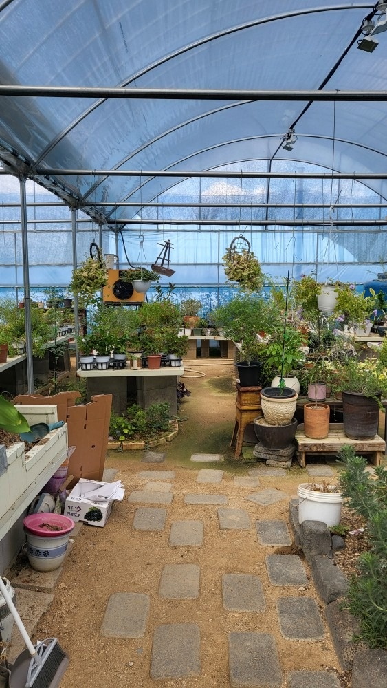 하늘정원 picture 4
