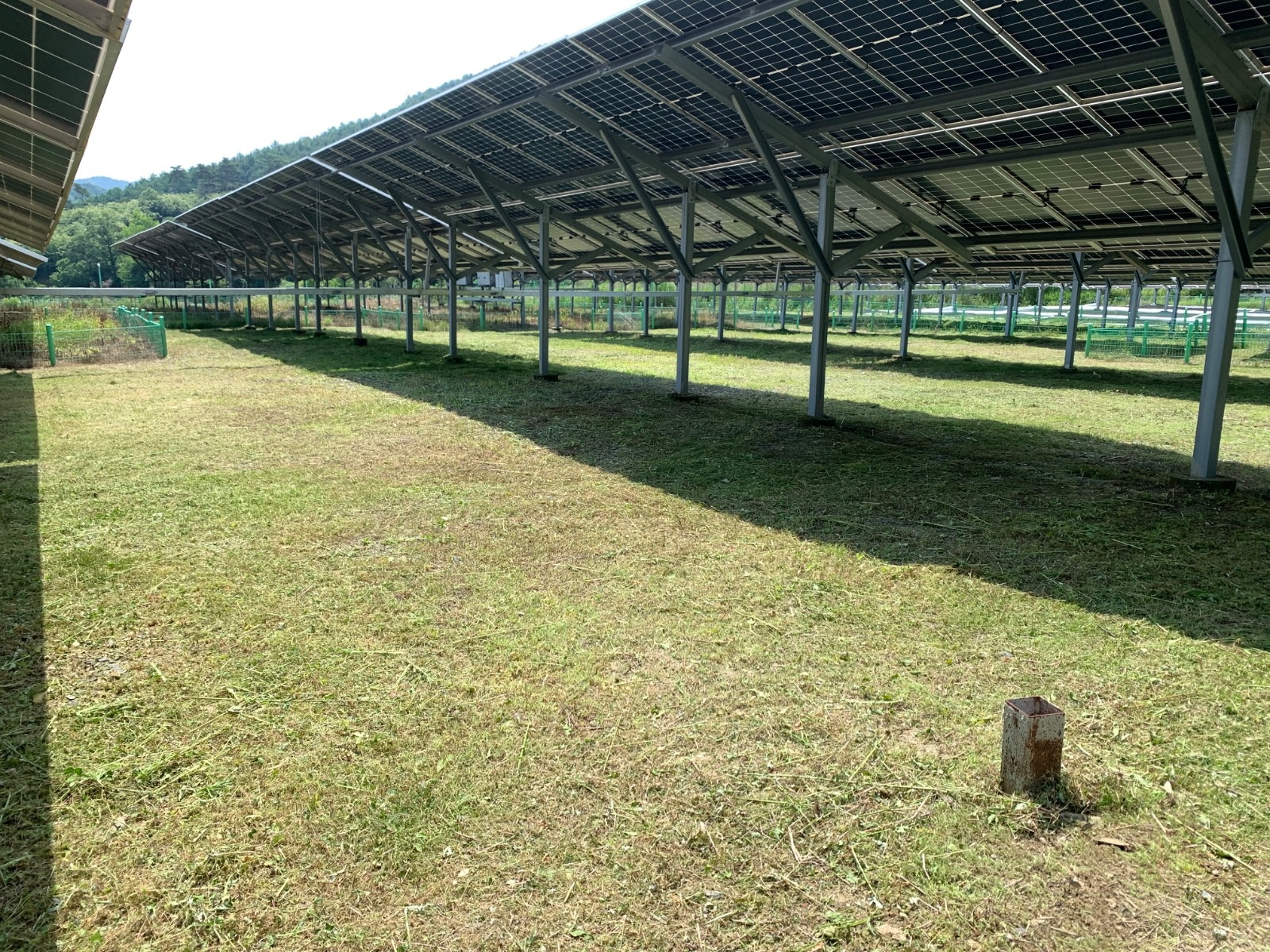 두더지조경 picture 1