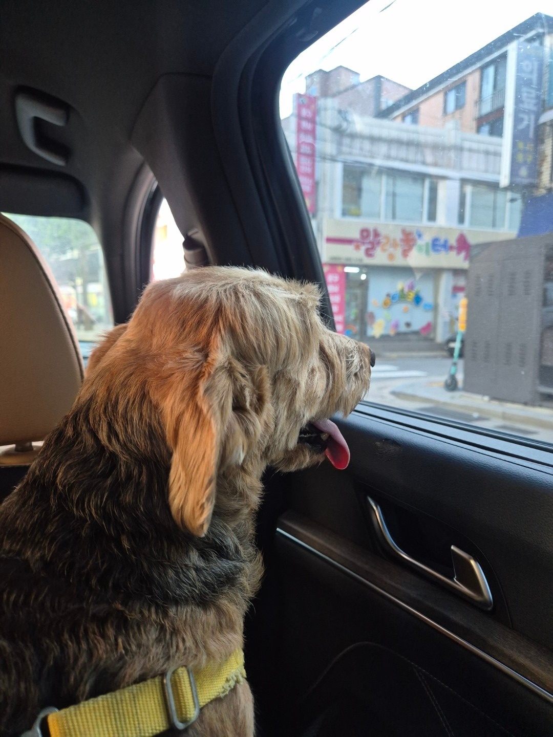 개편한세상 picture 5