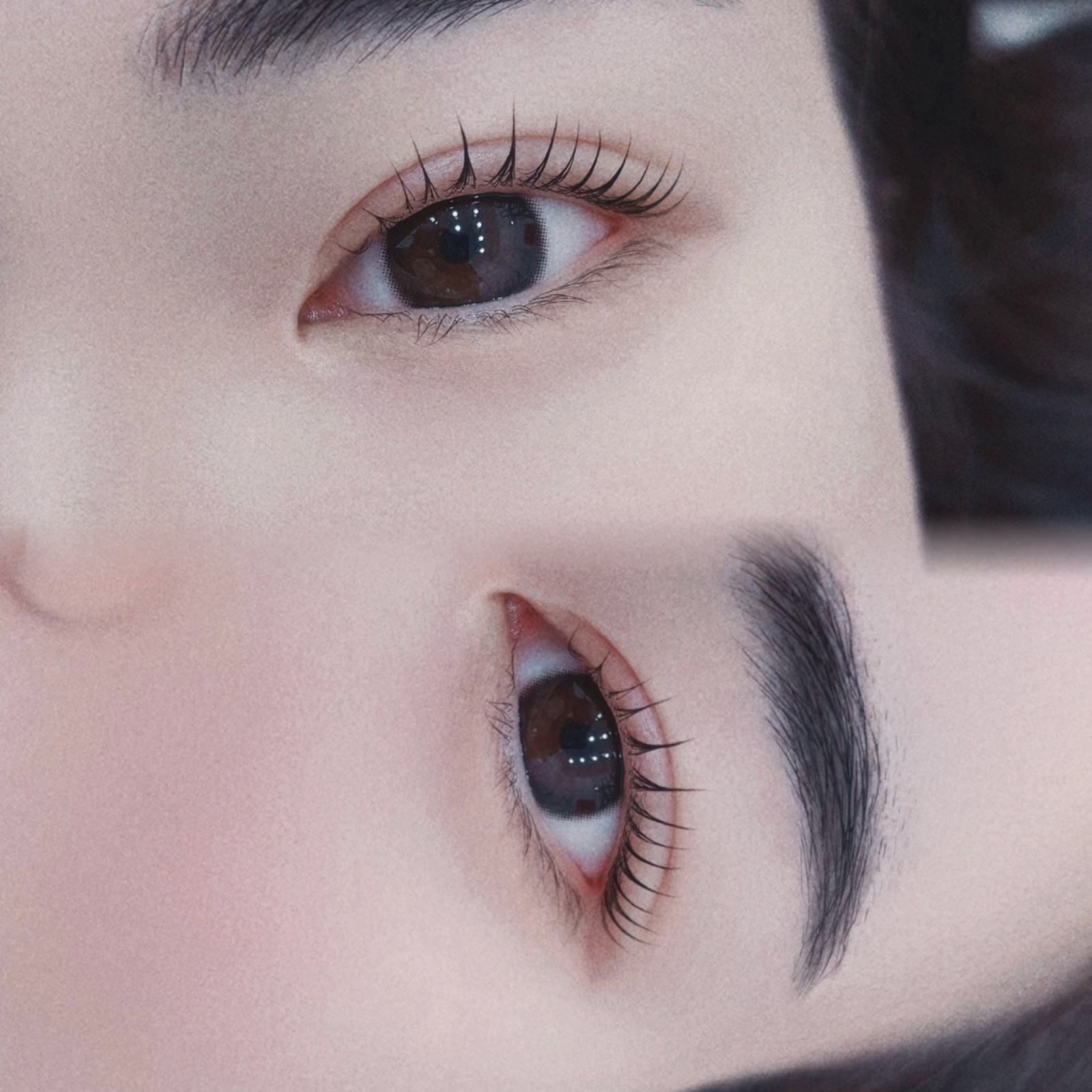 더멜라닌 picture 0