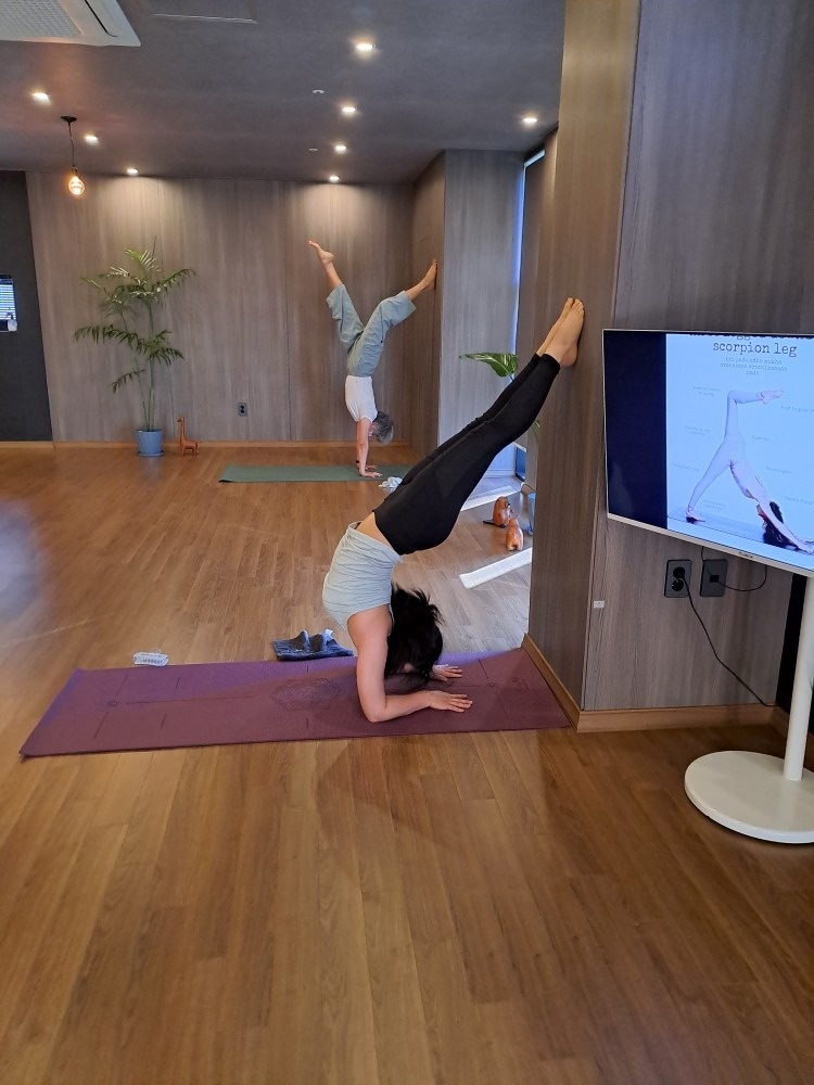 요가 picture 8
