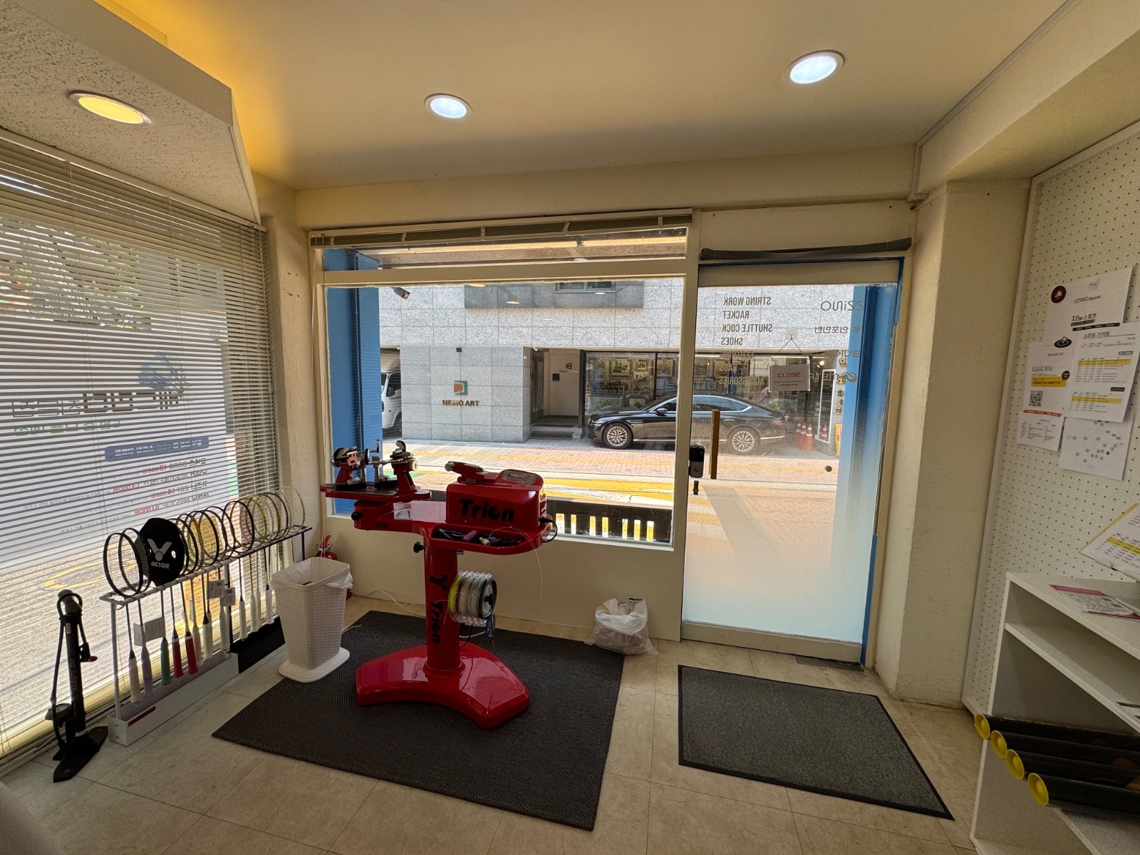 지노스포츠 picture 5