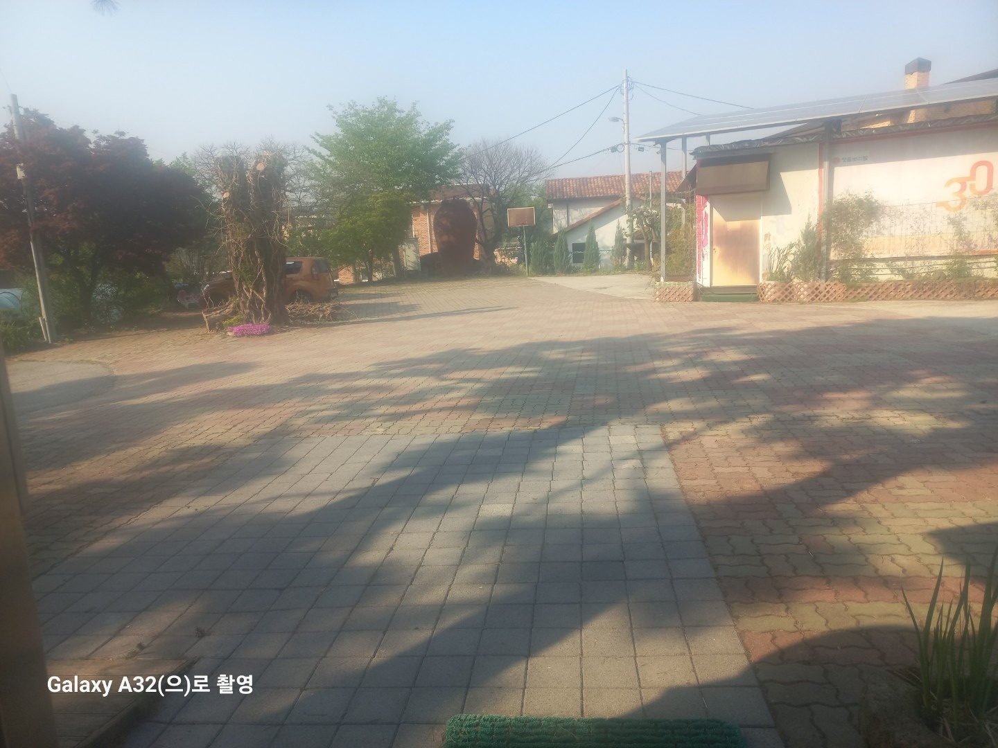 청솔보리밥 picture 2