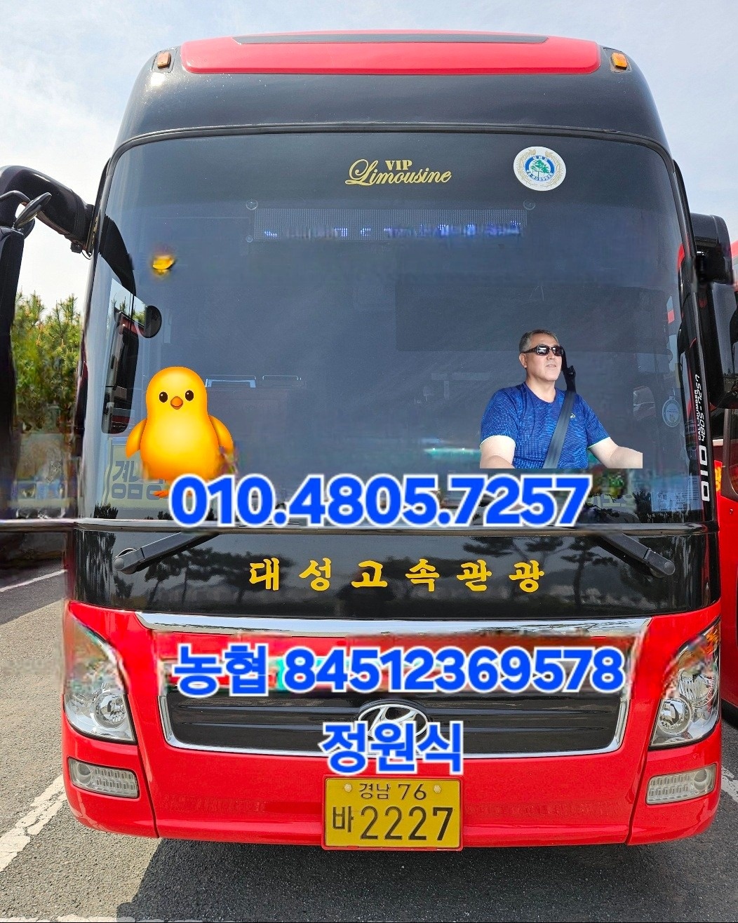 뛰뛰빵빵 picture 0