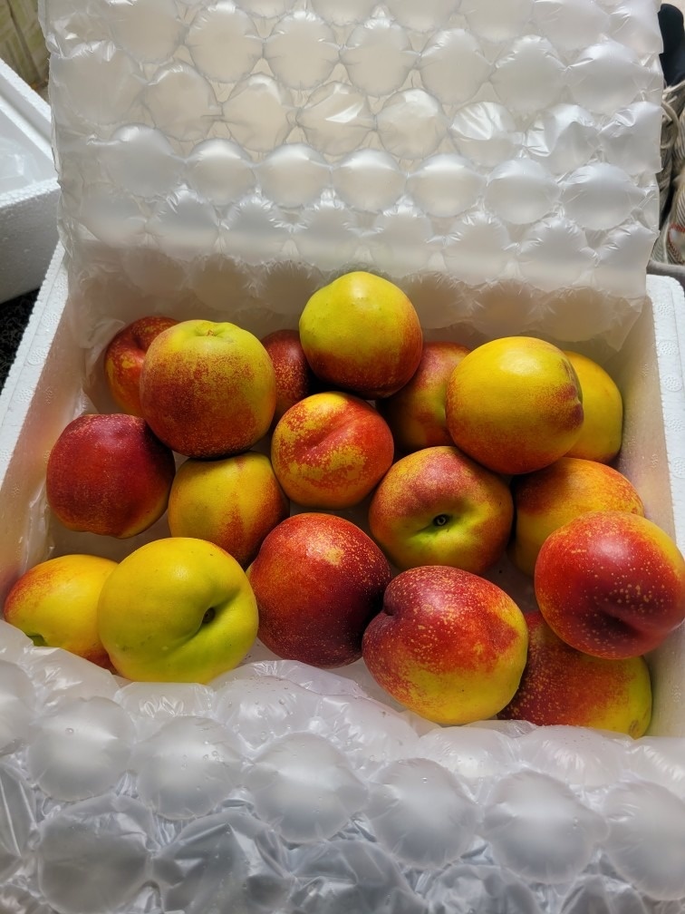 성공파트너 picture 5