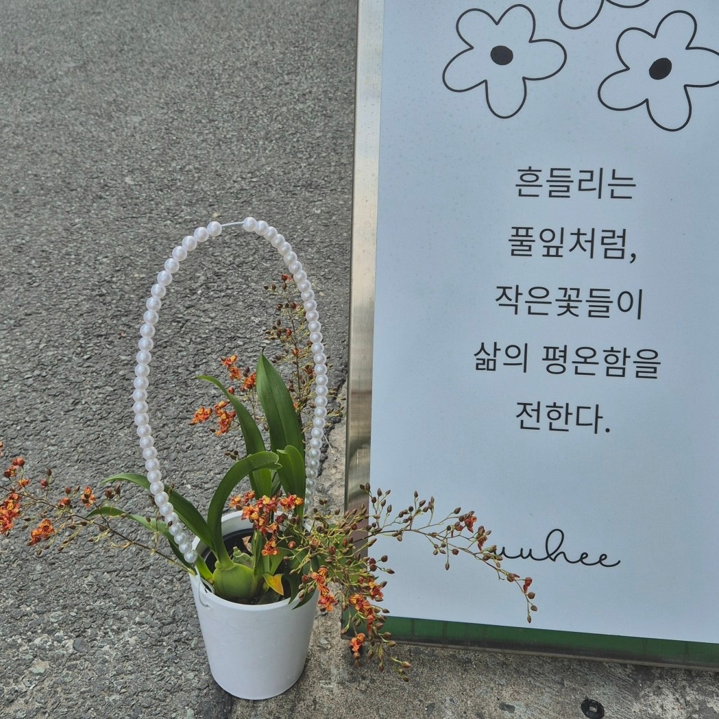 유유히 picture 5