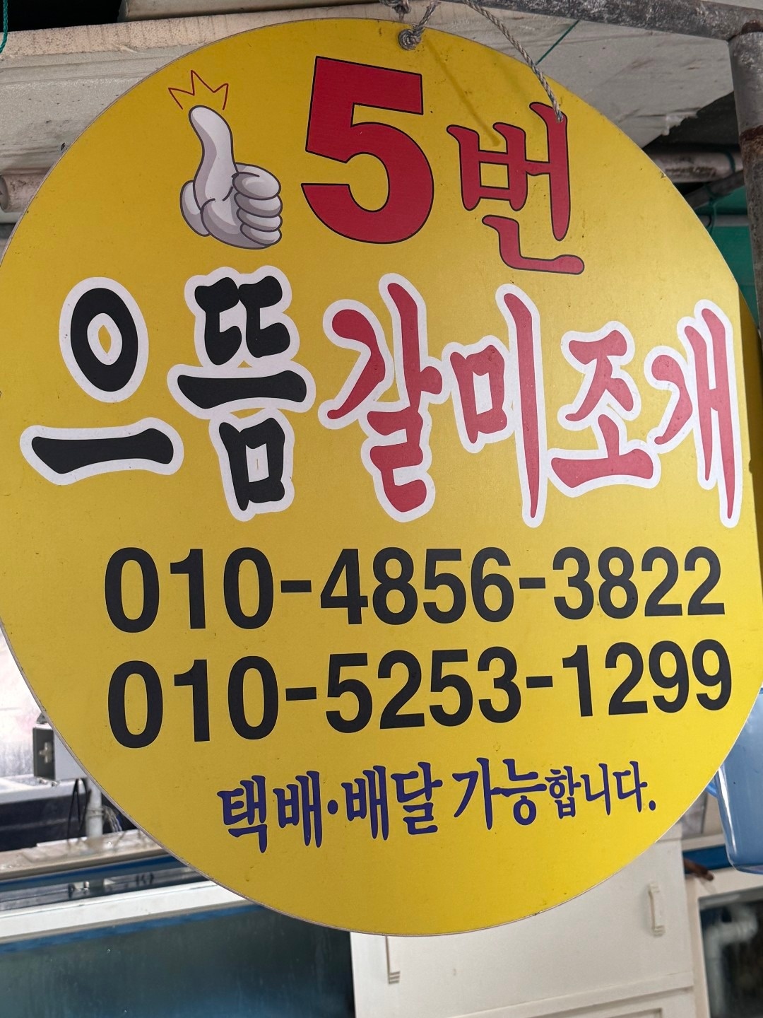 으뜸갈미조개 picture 1