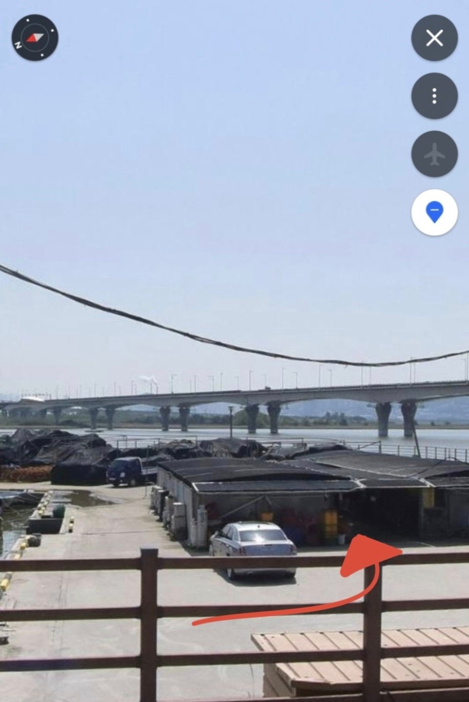으뜸갈미조개 picture 6