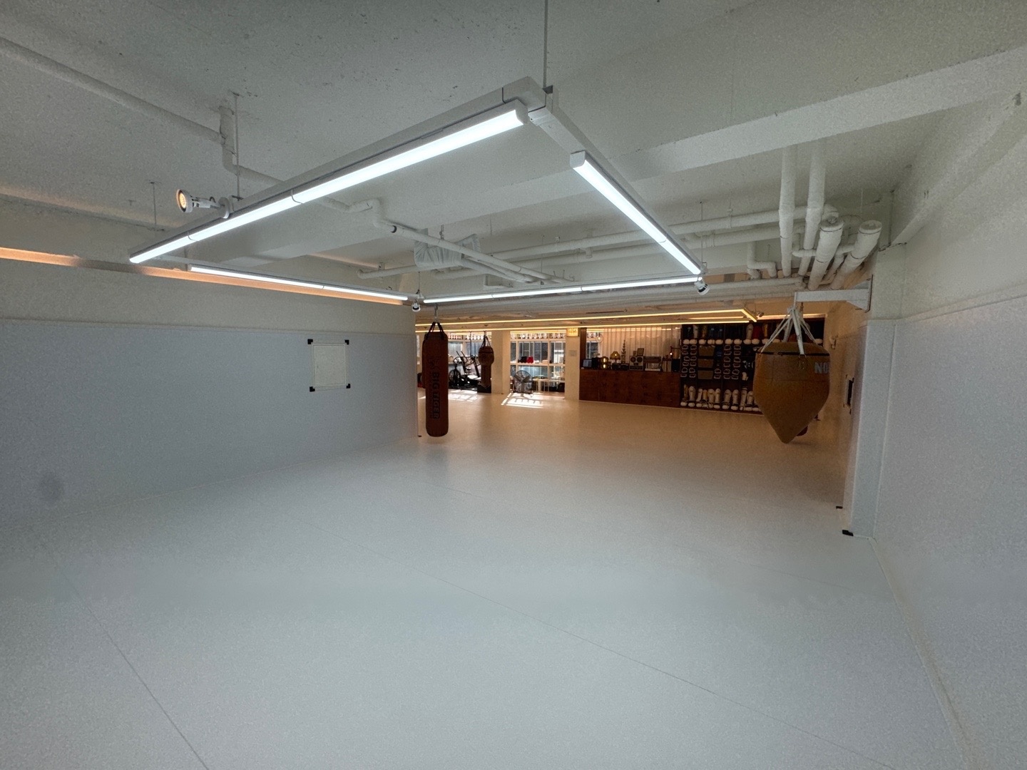 빅타이거짐 picture 9