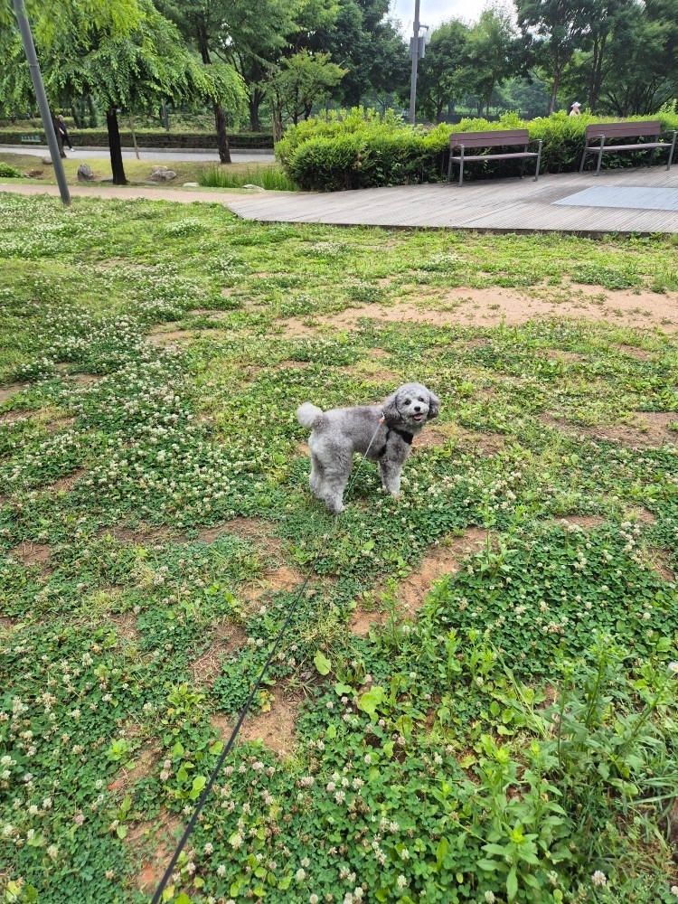 엘이네 picture 1