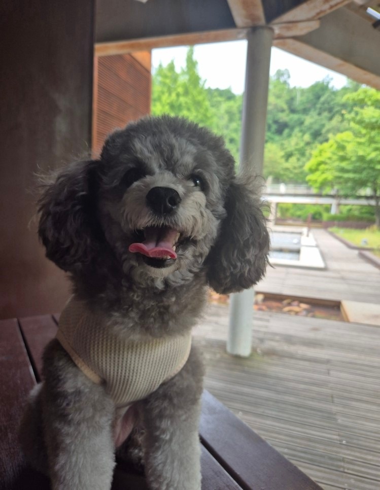 엘이네 picture 0