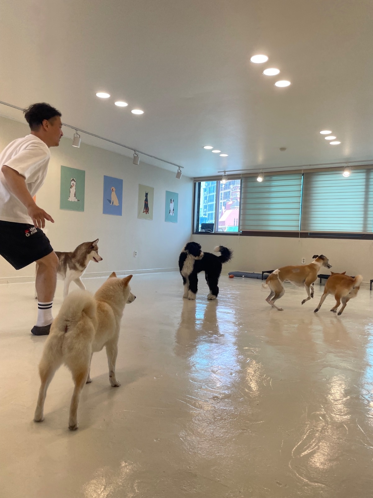 멍트로시티 picture 4