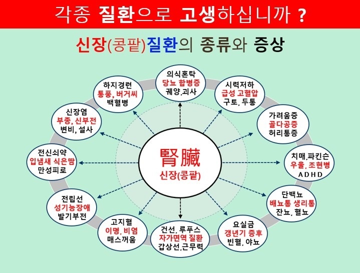 장대녕 디디엠 picture 0