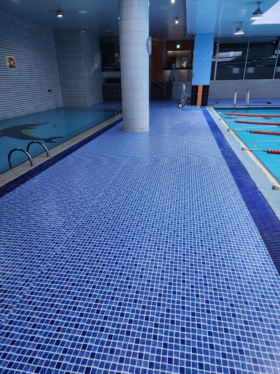 삼정스포츠 어린이수영 picture 5