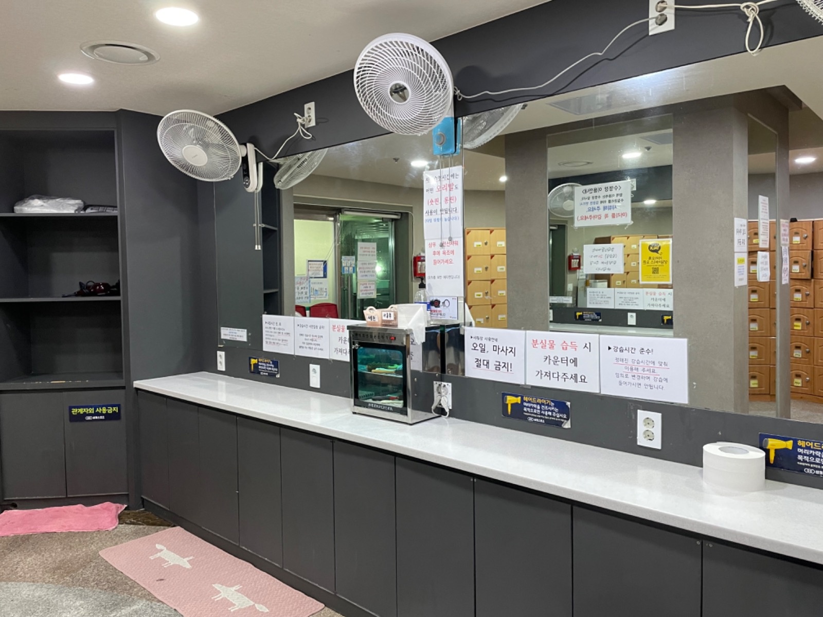 삼정스포츠 어린이수영 picture 7