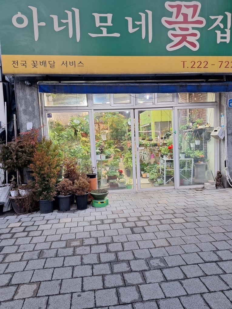 아네모네꽃집 picture 5