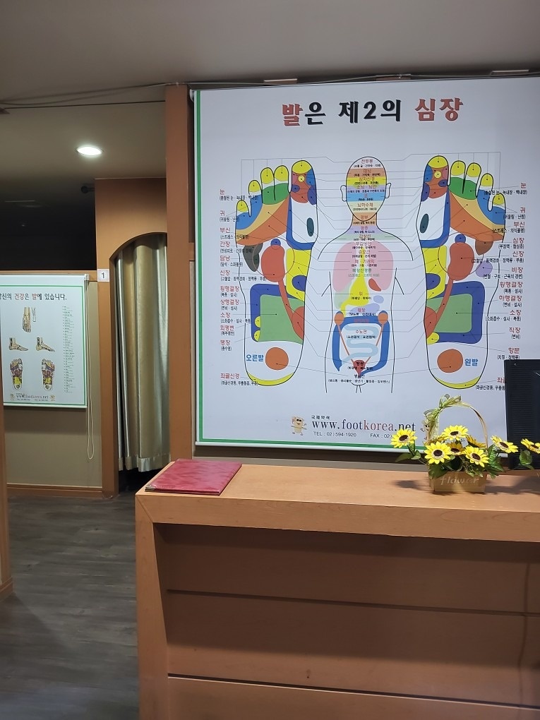 허준경락 picture 4