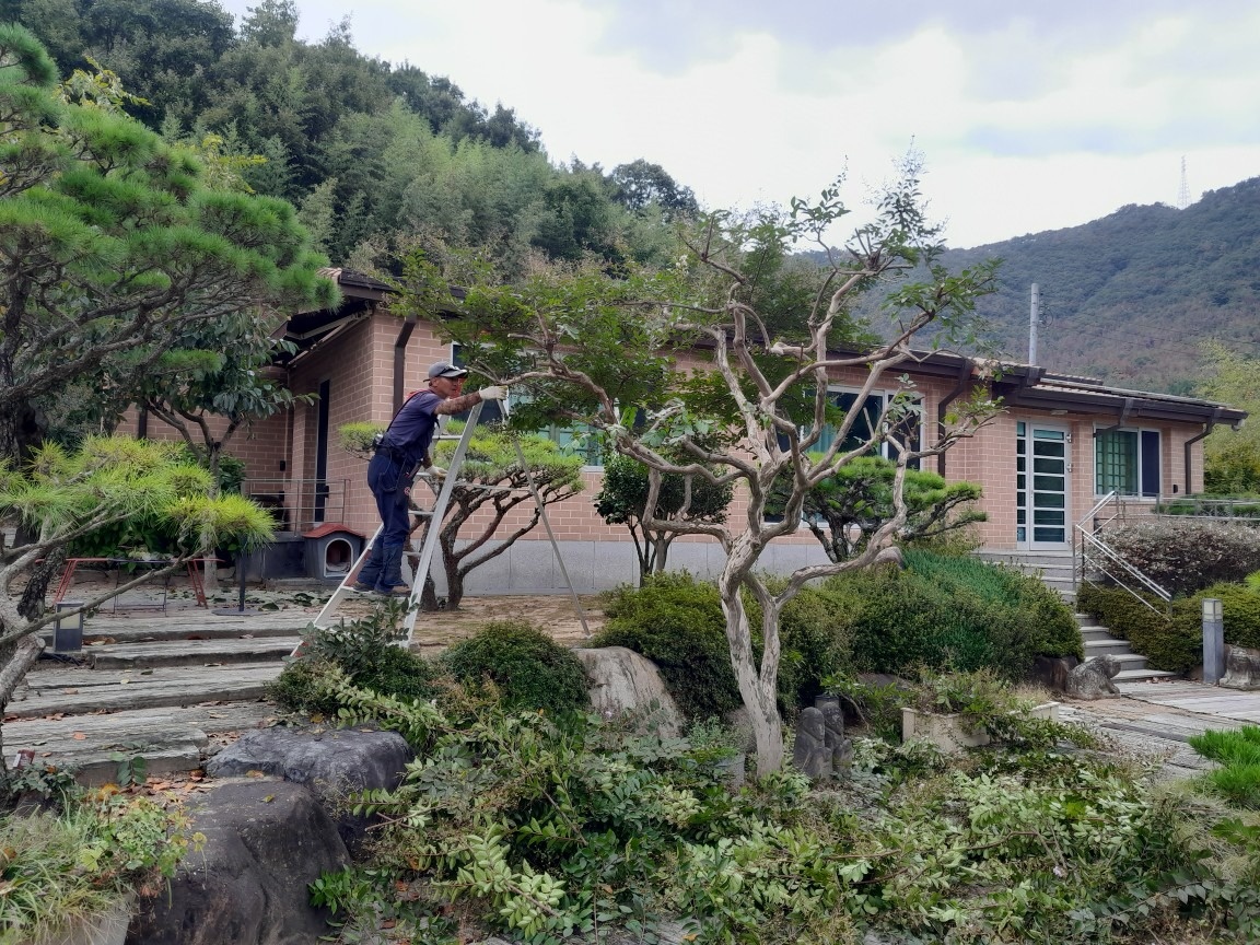 조경식재 picture 4