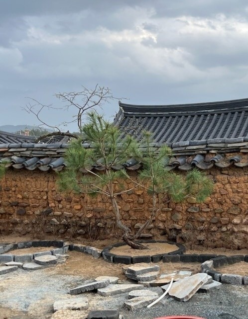 조경식재 picture 6