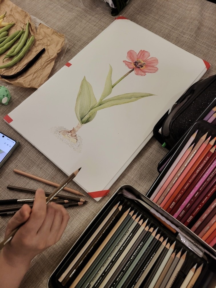 포아트 스튜디오 picture 9