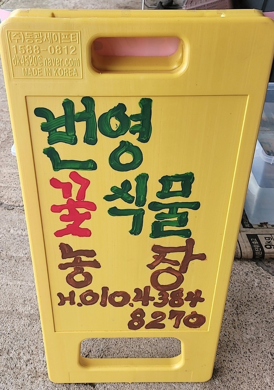 번영 꽃 농장