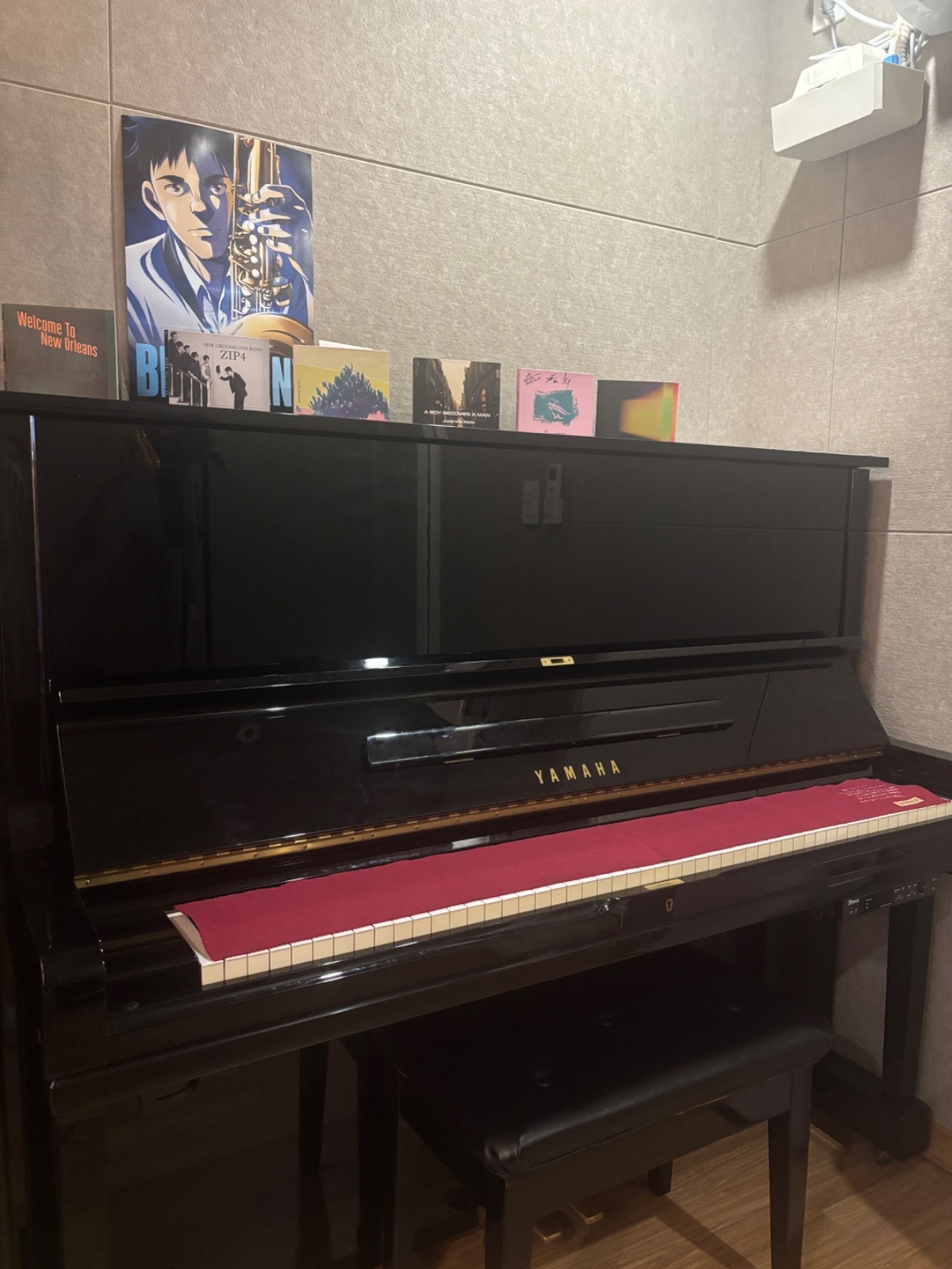 JS.Piano picture 1