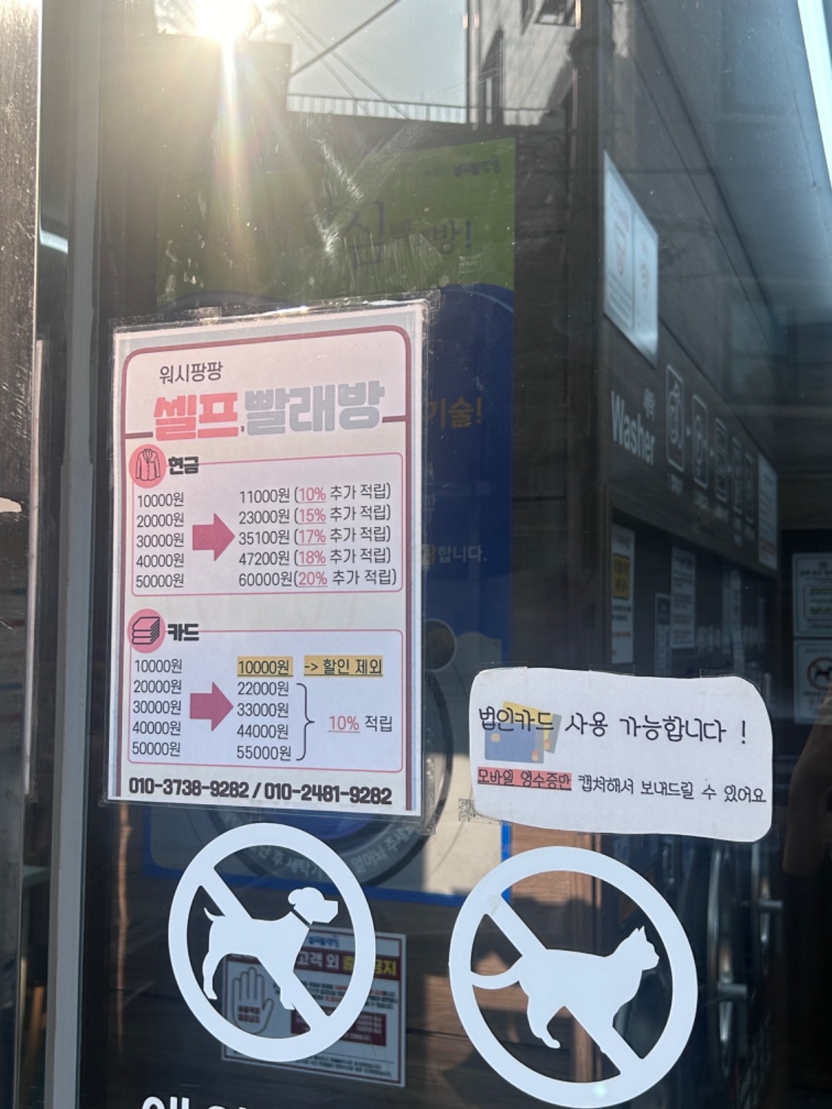 워시팡팡 고대 용두점 picture 8