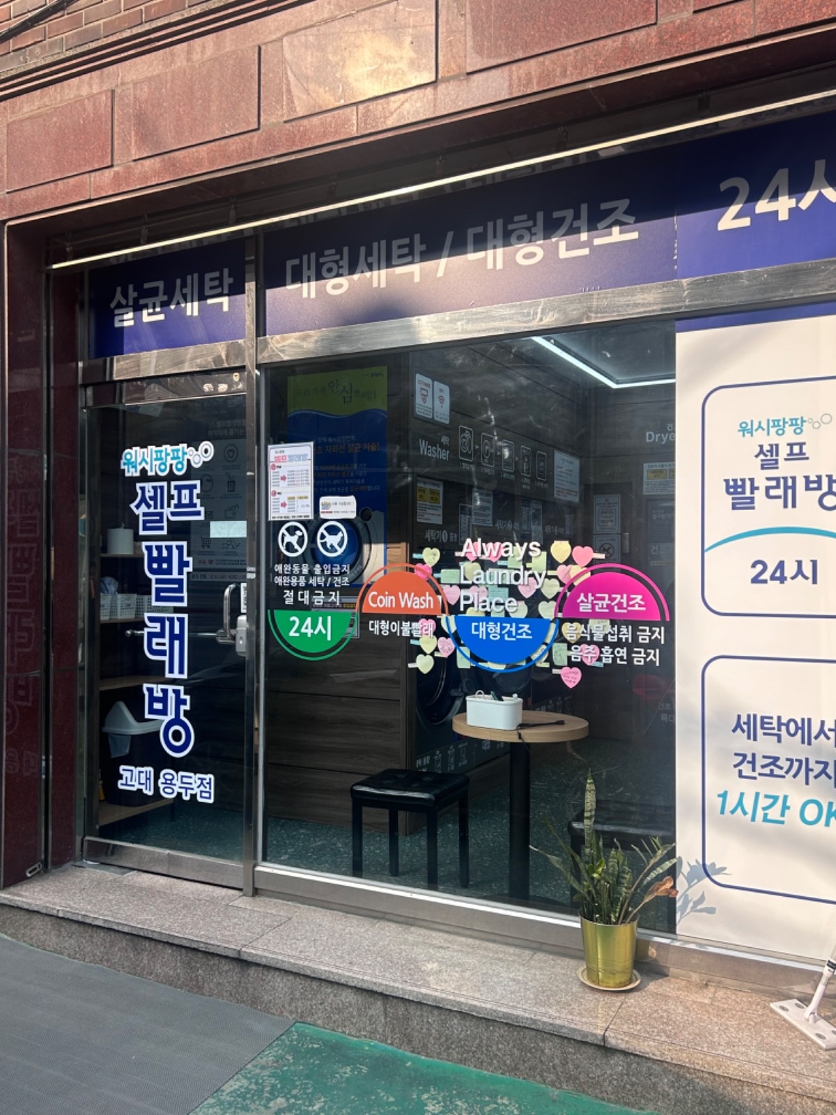워시팡팡 고대 용두점 picture 1