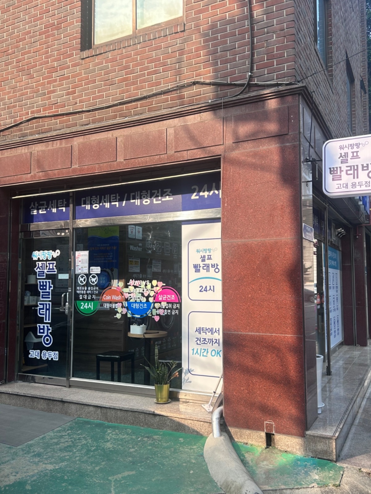 워시팡팡 고대 용두점 picture 9