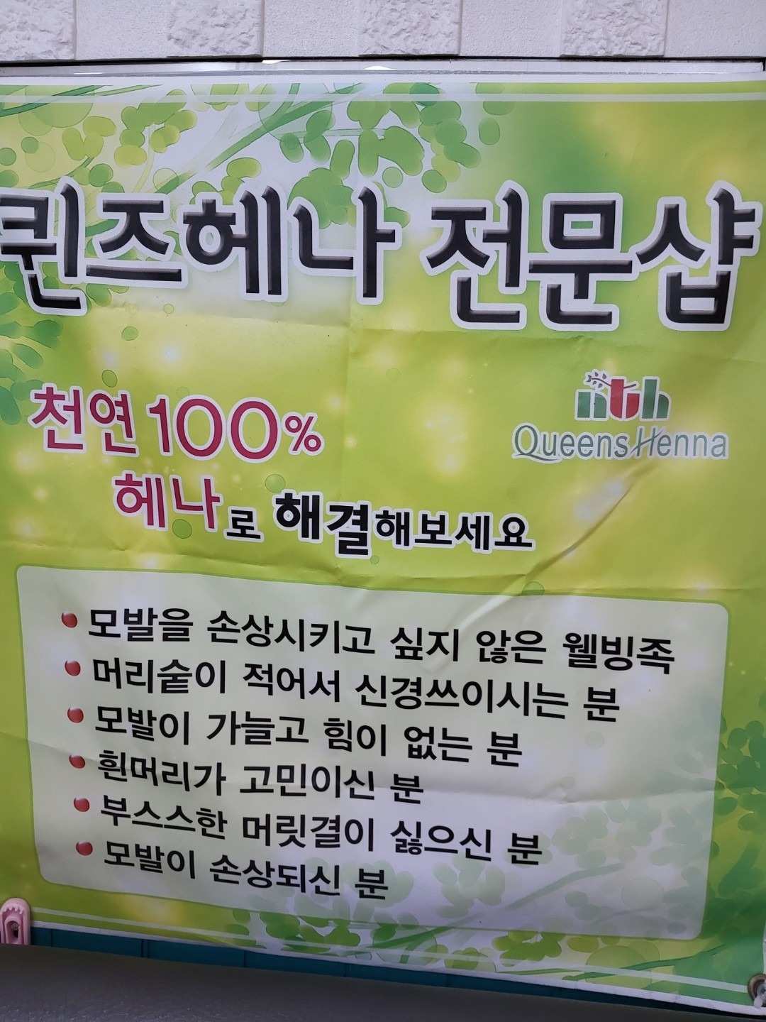 퀀즈헤나 picture 1
