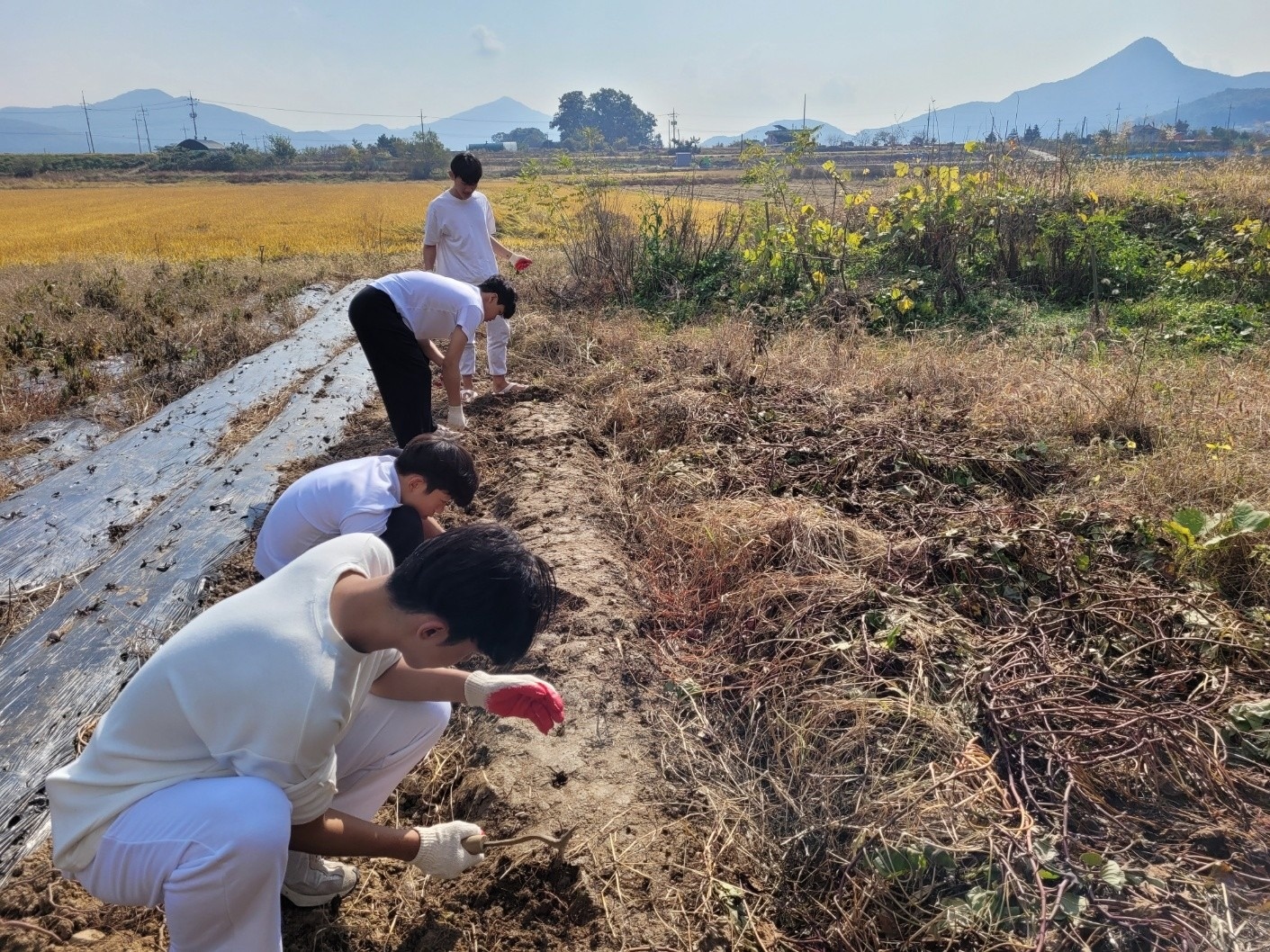 청소년 진로진학 상담교실 picture 0