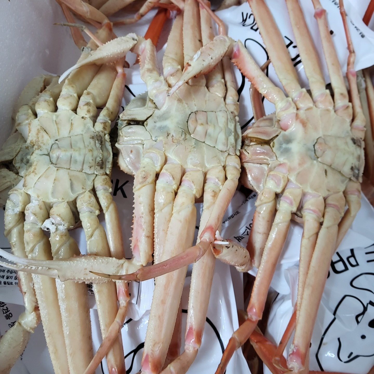 서희농수산 picture 6