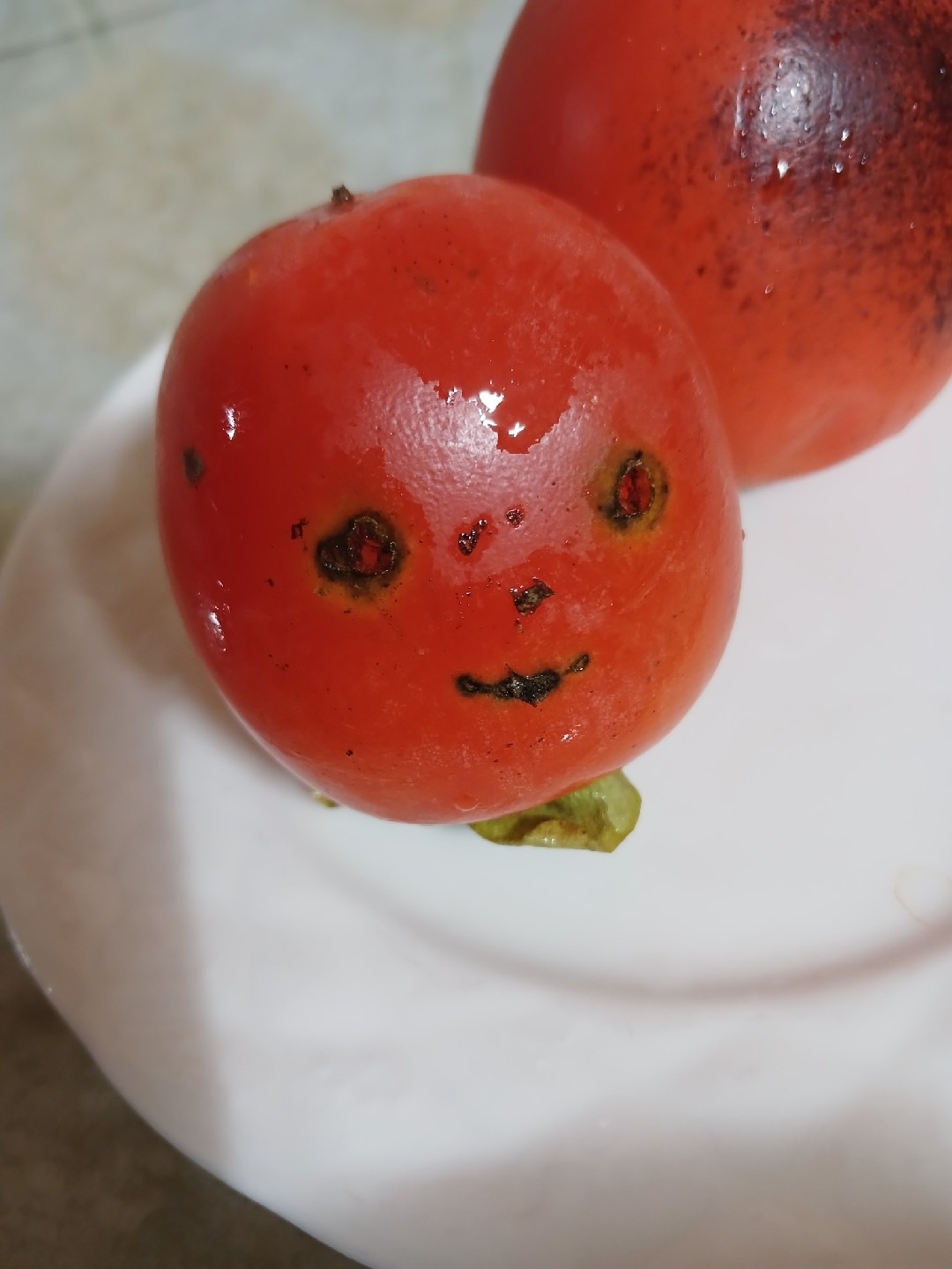 진하 태양광발전소 picture 5