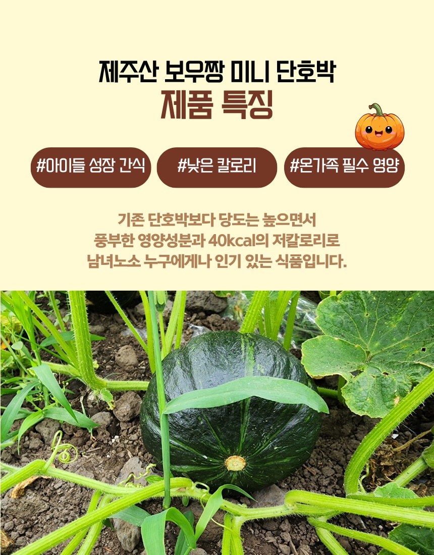 돌하루방농원 picture 4