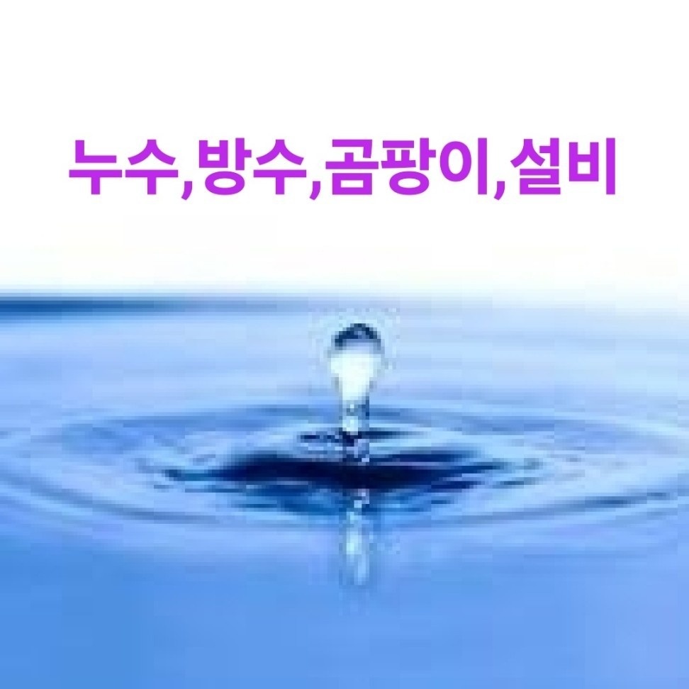 누수방수곰팡이제거설비전기시설유지보수 picture 4