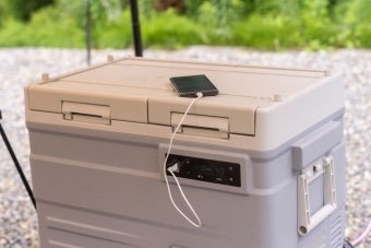 다판다 picture 8