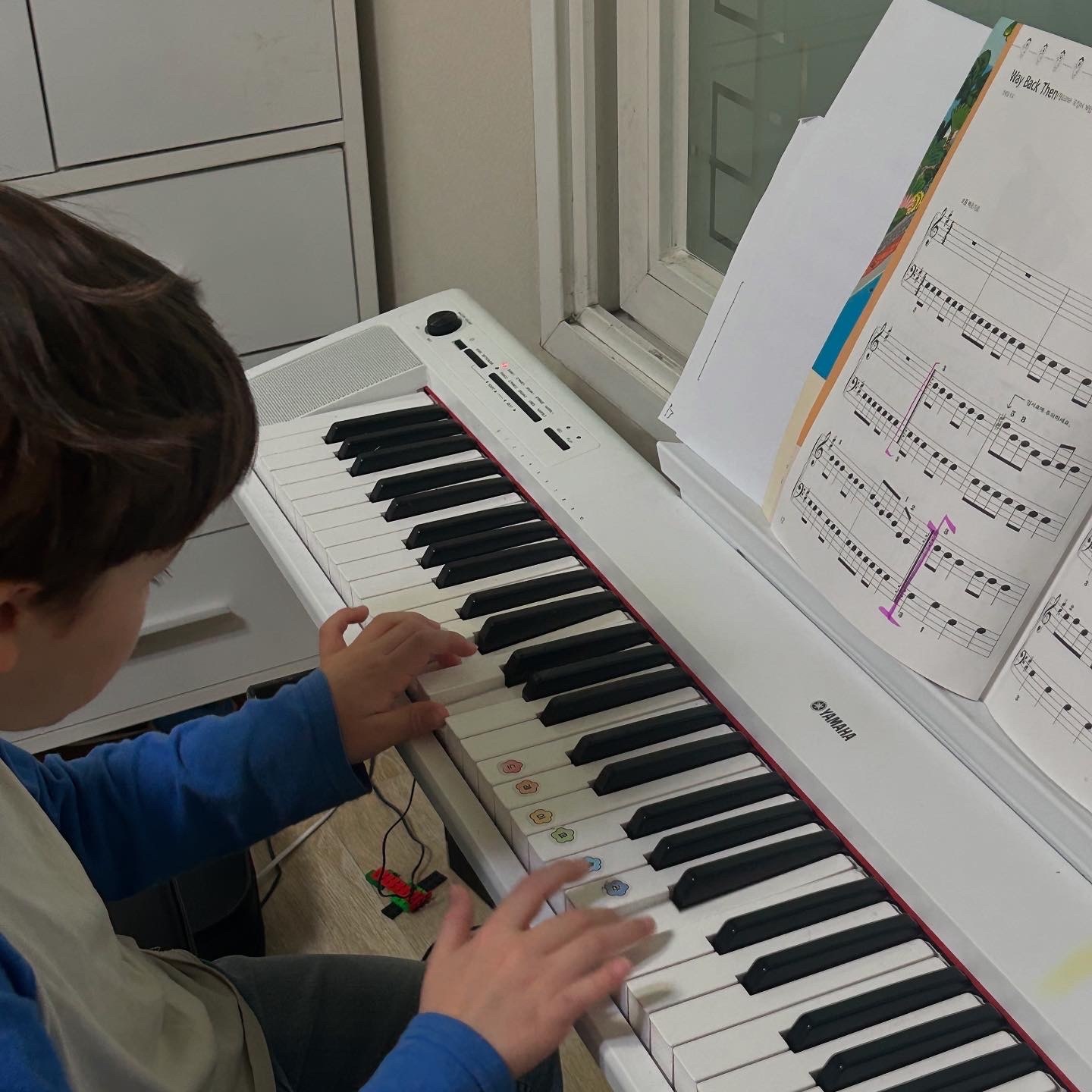 PIANARE picture 2