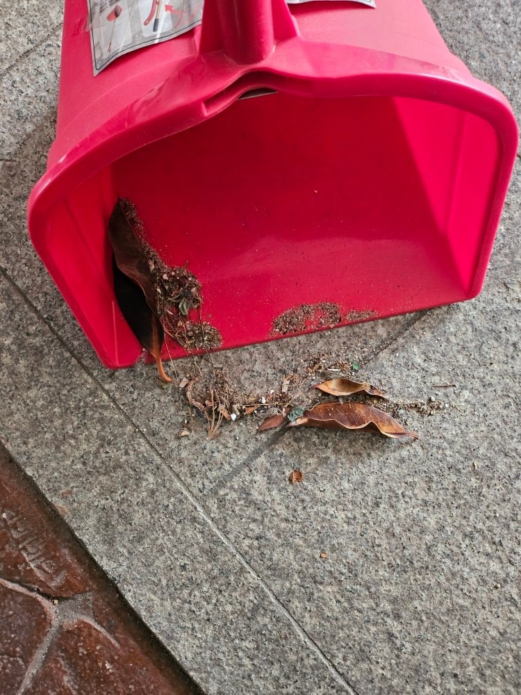 천국의계단 picture 5