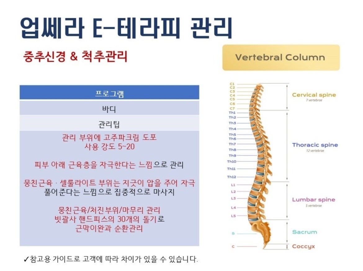 동안뷰티 picture 7