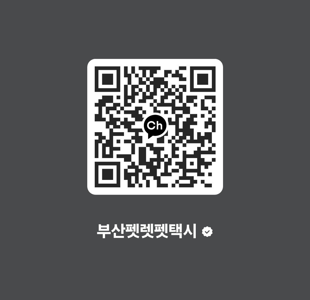 부산펫택시 펫렛 picture 5