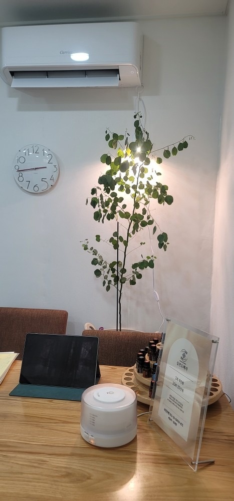 실면도헤라 picture 8